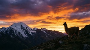 Andean Sunset Silhouette