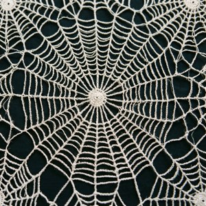 Ñandutí Lace Close Up