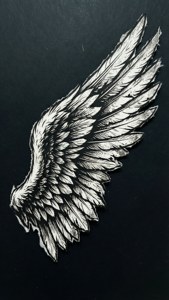 Angel Wings Distressed