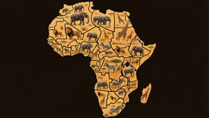 Animal Filled Africa