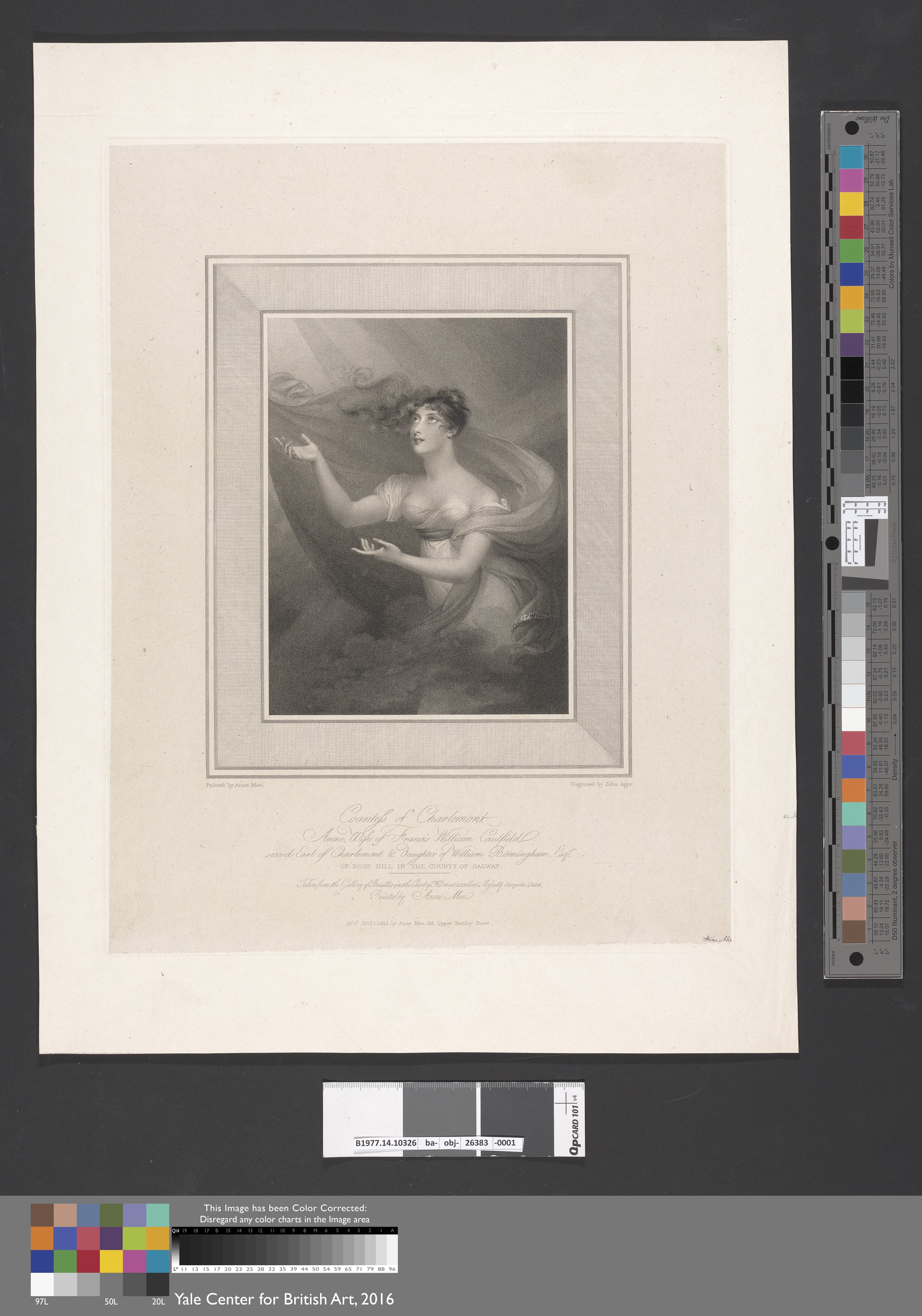 Anne (née Bermingham) Caulfield, Countess of Charlemont by John Samuel Agar