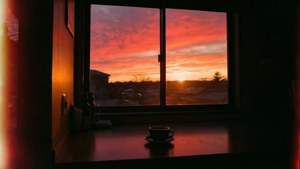 Anteiku Sunset Window