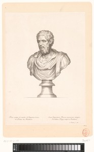 Antieke buste van Severus