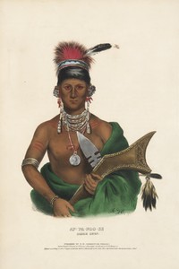 Ap-pa-noo-se - Saukie Chief