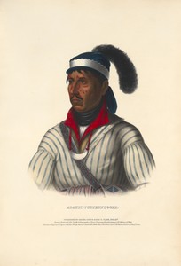 Apauly-Tustennuggee