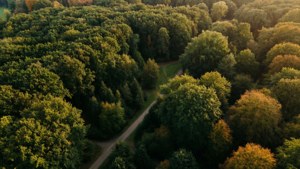 Apeldoorn Forest Aerial