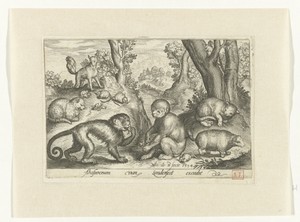 Apen, katten en muizen