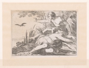 Apollo en Coronis