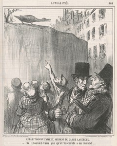 Apparition du ... serpent de la rue Lacépède