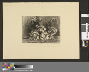 Apple Blossoms