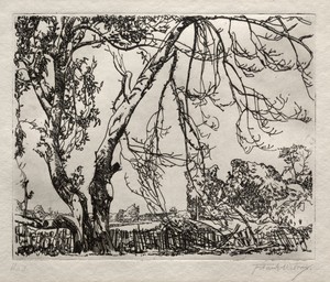 Apple Tree