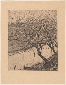 Apple Trees along the Side of a Ditch