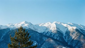 Šar Mountain Winter