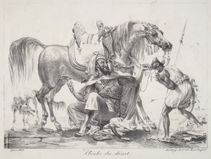 Arabe du désert (Desert Arab)