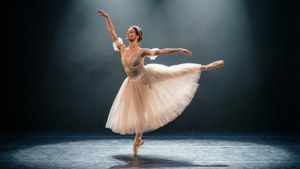 Arabesque in Spotlight