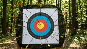 Archery Range Target
