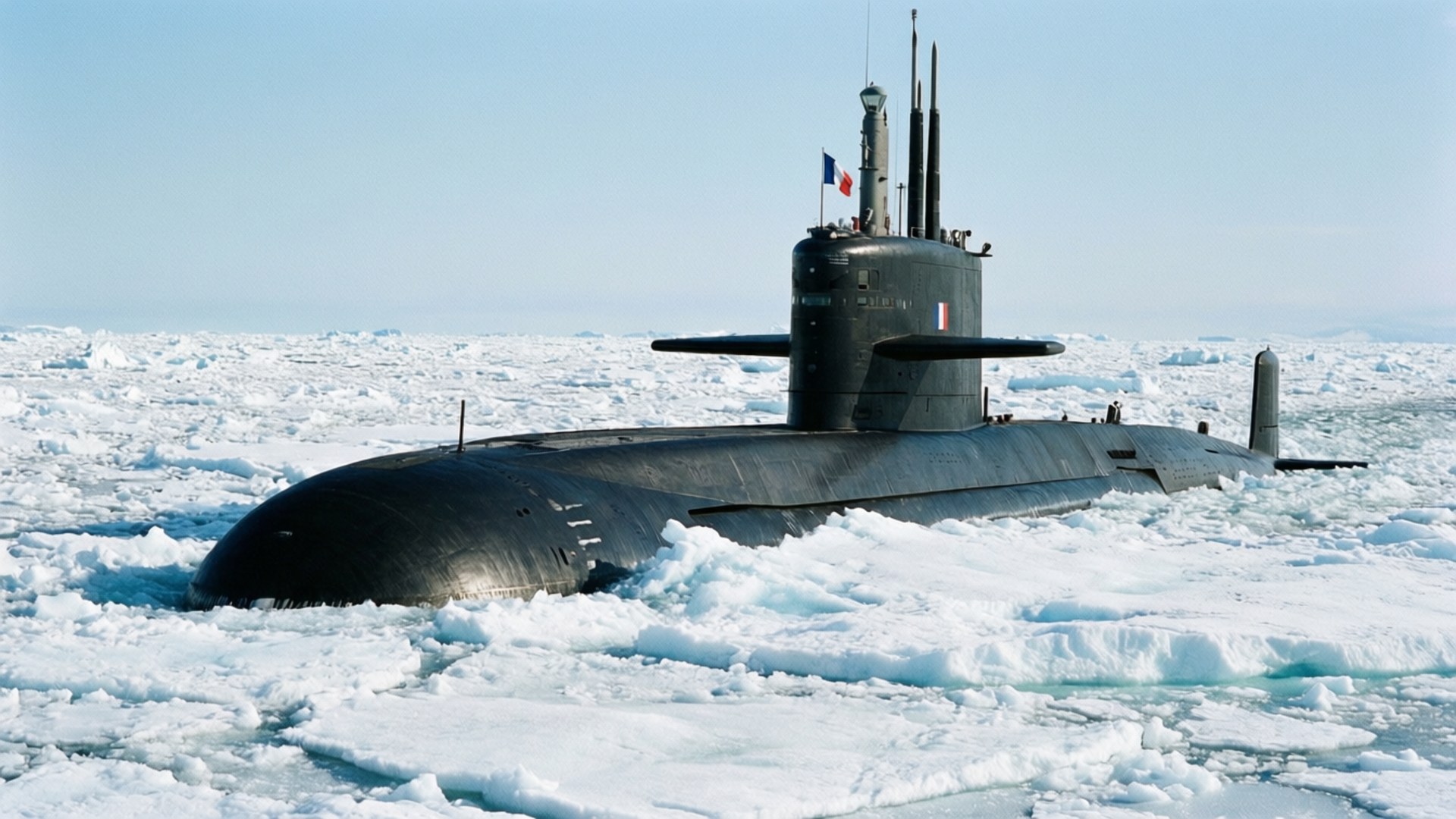 Arctic Patrol by Wallpapers.art Studio