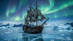 Arctic Pirate
