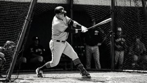 Arenado Batting Cage