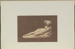 Arethusa