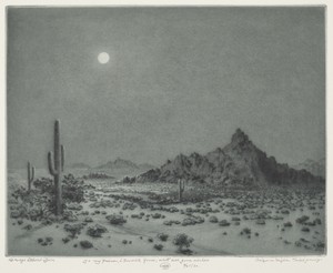 Arizona Night