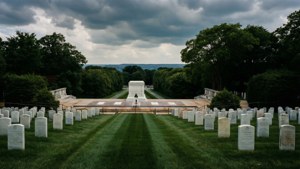 Arlington's Honor