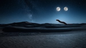 Arrakis Night