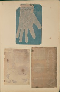 [Arrangement of Specimens]