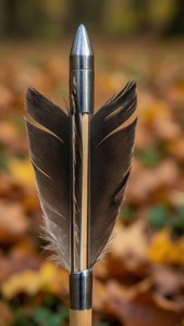 Arrow Detail Close-up