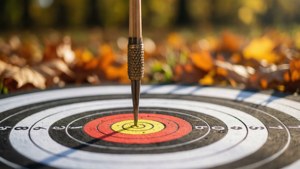 Arrow in Bullseye Autumn