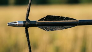 Arrow Nocked Close-Up