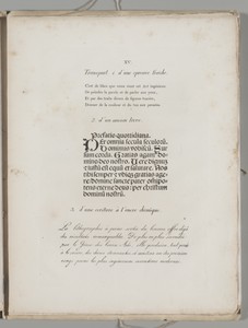 Art of the Lithograph: Printing Letters, Plate XV