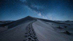 Ashen Dune Night