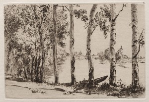 Aspens on the Bank of the Seine