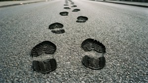 Asphalt Trail Fade