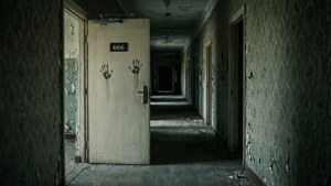 Asylum 666