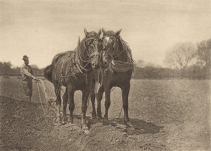 At Plough - The End of the Furrow