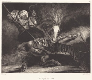 Attaque du tigre