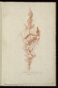 ATTRIBUTS D’ARCHITECTURE