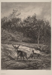 Au bord de l'eau