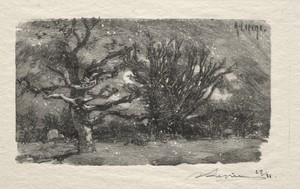 Au dormoir de Lantara