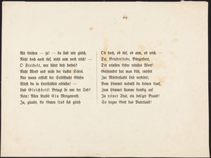 Auch ein Todtentanz: Text Page