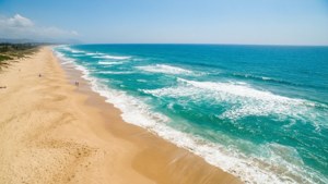 August Beach Escape