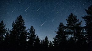 August Meteor Shower