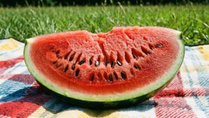 August Watermelon Slice