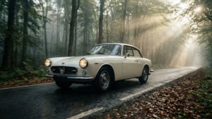Aurelia in the Mist
