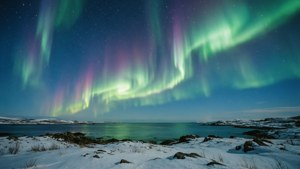 Aurora Night