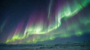 Aurora Night