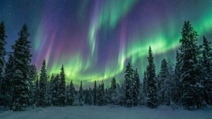 Aurora Over Snowy Forest