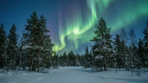Aurora Snowscape